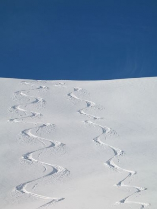  Larga vida a la nieve polvo